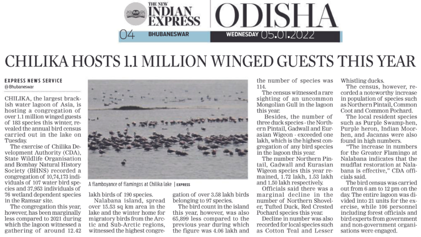 Welcome to Odisha to Witness Millions of Migratory Birds